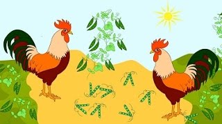 Du Gaideliai  Animuota Lietuviška dainelė vaikučiams Lithuanian Nursery Rhyme  Two Roosters [upl. by Finbar]