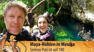 Cenoten in Mexiko Abtauchen in den Höhlen der Mayas  3 [upl. by Beryl724]