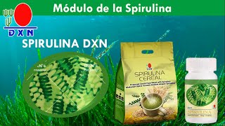 Spirulina DXN Modulo de Presentación [upl. by Eey]