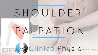 Shoulder Palpation  Clinical Physio Premium [upl. by Milurd]