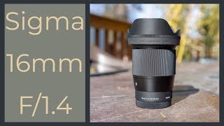 Sigma 16mm f 14 On the Sony A7iii A7R iii an awesome wide angle for only 400 [upl. by Inalan]