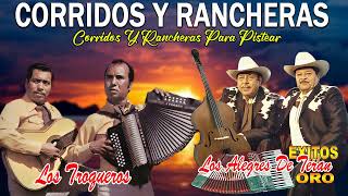 Los Alegres De Teran Los Troqueros  20 Grandes Exitos  CORRIDOS Y RANCHERAS MIX [upl. by Akired]