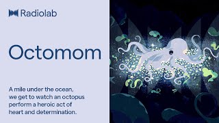 Octomom  Radiolab Podcast [upl. by Ecirtap]