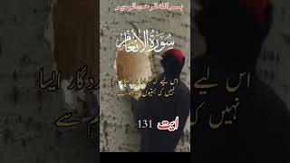 Surha anaam ayat 131 quran tarjuma love shortwater [upl. by Telfer]