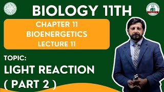 Light Reaction  Part 2   Grade 11 Biology  LECTURE 11  BIOENERGETICS [upl. by Ayhtak]