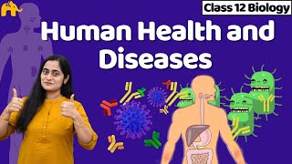 Human Health and Diseases Class 12  Biology NCERT Chapter 7 One Shot  CBSE NEET [upl. by Kciredes435]