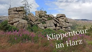 Schnarcherklippen  Mäuseklippen  Wandern im Harz  Juli 2024  WanderVLOG [upl. by Centonze]