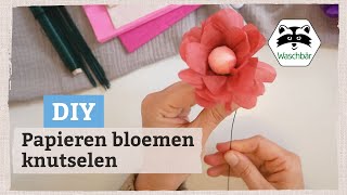 Papieren bloemen knutselen 🌸 drie varianten  Bloemen maken van papier 💐 [upl. by Nalyr237]