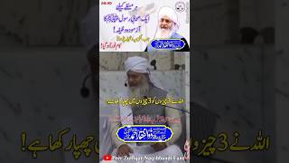 Woh 3 Chezeb Konsi Huti Hen Sunyee😍 Peer Zulfiqar Ahmed Naqshbandi❤️ shorts like share [upl. by Nwahsar]