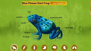 3 Shocking Facts About Blue Poison Frogs You Never Knew [upl. by Egedan]