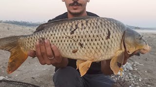 ADANA SAZAN AVI sazanavi carpfishing adana [upl. by Ruyle668]