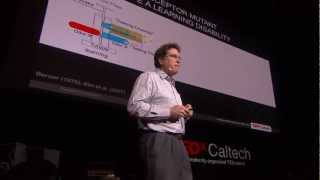 Drugs dopamine and drosophila  A fly model for ADHD  David Anderson  TEDxCaltech [upl. by Walli91]