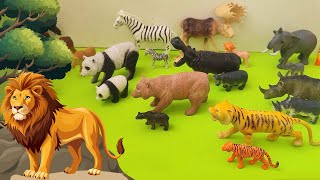 Wildlife Safari Meet Amazing Wildlife Animal Toys for Kids [upl. by Booma]