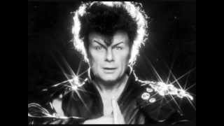 Gary Glitter  Im The Leader Of The Gang I Am [upl. by Winthorpe37]