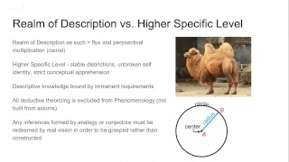 Edmund Husserls Phenomenology Lecture 36 Ideas Preliminary Considerations of Method [upl. by Ahmed]