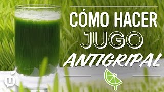 Jugo Antigripal  Antiflu Juice  Kiwilimón [upl. by Nylednarb70]