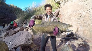 Sistas Catch Salmon in Genesee River  Rochester NY [upl. by Renny170]