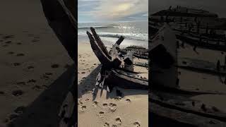 19th Century Shipwreck Washes Up on Nantucket Beach [upl. by Nairda]