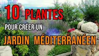 JARDIN MÉDITERRANÉEN  10 Plantes à Absolument Avoir  Quelles Plantes Choisir  Résistants au Froid [upl. by Conal]