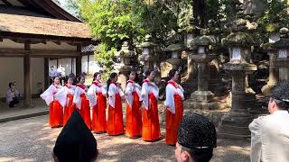 【春日大社御田植神事】御田植祭 春日大社 林檎の庭 榎本神社階下 五穀豊穣を祈る 八乙女 牛男 神楽男 歌と楽器に合わせて田植歌と田植舞の奉納 2023年3月15日 年中行事 世界遺産 巫女 神楽 [upl. by Enitsed]