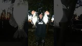 Channel cat  plus 2 crappie [upl. by Shandie]