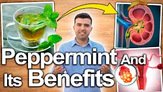 Peppermint Health Benefit for Health and Beauty  What is it for  100 SCIENTIFIC BASED [upl. by Frantz]