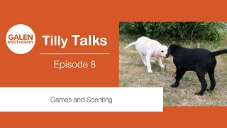 Tilly Talks  Episode 8  Games and Scenting [upl. by Ahsit]