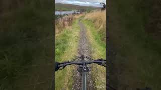 Beginner MTB  Carron Valley 🏴󠁧󠁢󠁳󠁣󠁴󠁿 mtb mtbgirl [upl. by Norod]