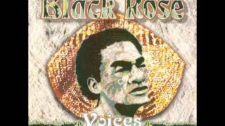 Black Rose  Adi Losa Lini [upl. by Kabob]