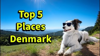 Top 5 Must Visit Places in Denmark for Travel and Culture [upl. by Bogoch]