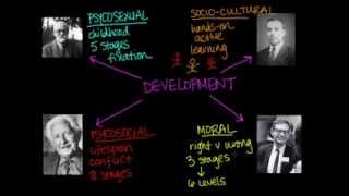 Overview of Theories of Development [upl. by Ahsenod358]