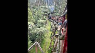 Puffing Billy [upl. by Debbi]