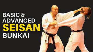 Seisan Bunkai Basic and Advanced [upl. by Griffin]