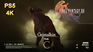 How to find and defeat Grimalkin Notorious Mark  Rank C  Final Fantasy 16 XVI [upl. by Kcirneh]