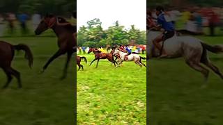 Horse racing game 😍😍🔥🔥🔥vairal youtubeshort [upl. by Marybeth761]