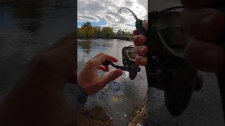 Best Fishing Knot out there fishing [upl. by Narcho]