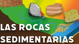 Las rocas sedimentarias videolección 1º de eso [upl. by Stephi]