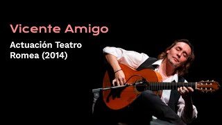 Concierto Vicente Amigo en Teatro Romea de Murcia 2014 [upl. by Alleuqahs]