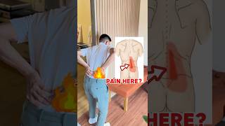 Back Pain Relief Stretch 🤩🤩🤩backpain backpainstretch lowbackpain shortsviral shortsvideo [upl. by Asiralc]