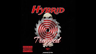 Hybrid  Trapped [upl. by Naujuj]