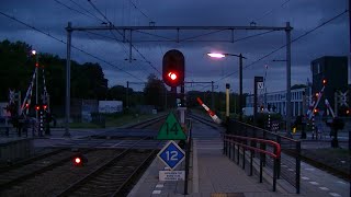 Spoorwegovergang DriebergenZeist  Dutch railroad crossing [upl. by Haveman165]