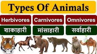 Herbivores Carnivores and Omnivores  Types of Animals Herbivores Carnivores Omnivores  जानवर [upl. by Natsirt]