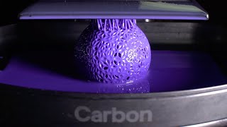 Insanely Beautiful 3D Printing Time Lapse [upl. by Eicats]