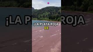 Curiosidades de las playas del mundo 🌍🏖️ curiosidades shorts playas [upl. by Anwahsak]