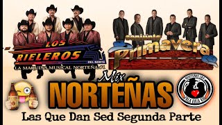 Conjunto Primavera Ft Rieleros Del Norte Norteñas Mix Las Que Dan Sed Segunda Parte Edit 2020 [upl. by Drisko921]