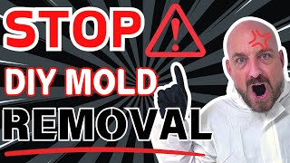 Want a Mold FREE Home Watch This Now [upl. by Lechar623]