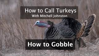 Learn How to Call Turkeys How to Gobble [upl. by Kal]