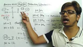 Amino acid charge at different pH and amino acid titration calculation problems [upl. by Zeph]