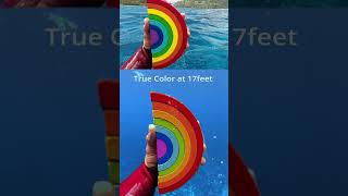 Underwater color test at 40ft12m 🎨 DJI Osmo Action 5 Pro 🎬 roamtobewild7801 [upl. by Knapp]