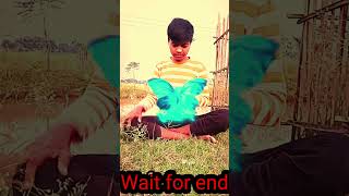 Wait for end magic video youtubeshorts viralvideo magictricksvideo viralshort magicclips [upl. by Krug]